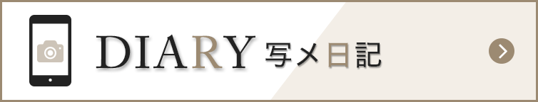 写メ日記